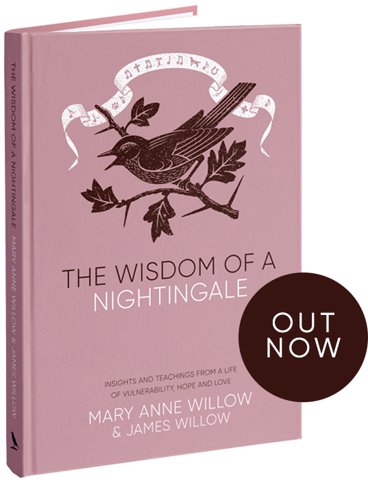 The Wisom of a Nightingale cover